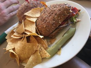 Panini with roasted veggies and vegan cheese  at Local Urban Kitchen in Point Pleasant Beach