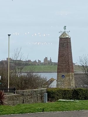 View from the pub at Harbour Lights Inn in South Shields