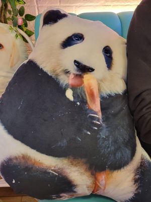  at The Garden Brunch Café in Catalunya