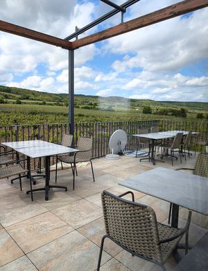  at Weinterrasse Pulkau in Niederösterreich