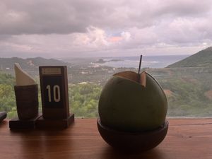 Coconut   at Ashtari in 