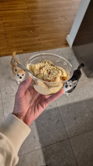  at Kitsune Athens Bistrot in Athens