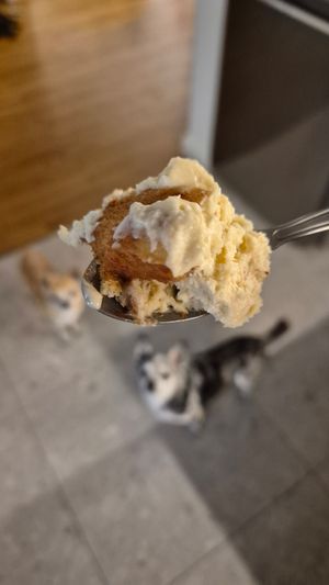  at Kitsune Athens Bistrot in Athens