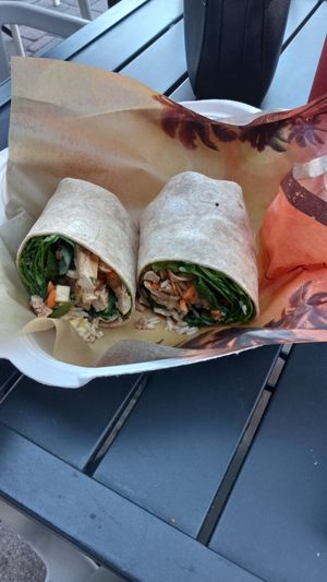 Vegan chicken wrap, very tasty and filling! at The Surfinista Cafe in Cocoa Beach
