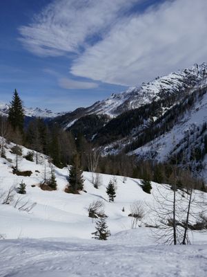 beautiful surroundings at Chalet Stella Alpina in Bedretto