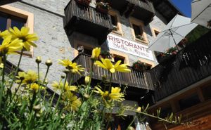 CHALET STELLA ALPINA at Chalet Stella Alpina in Bedretto