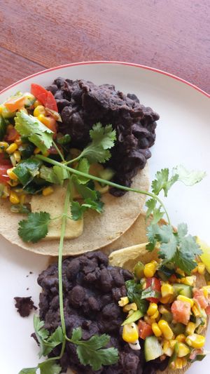 Huevos rancheros - vegan version with a cashew cheese, black beans and salsa. Very tasty.  at True North in Coburg