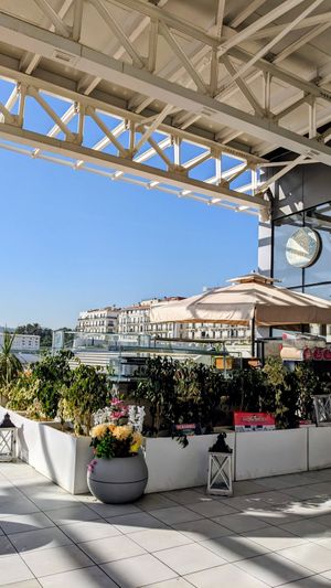  at Bab dzira in Algiers