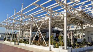  at Bab dzira in Algiers