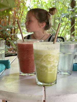 Cucumber mint and watermelon basil juices at Juice Bar at the Harmony Hotel in Nosara