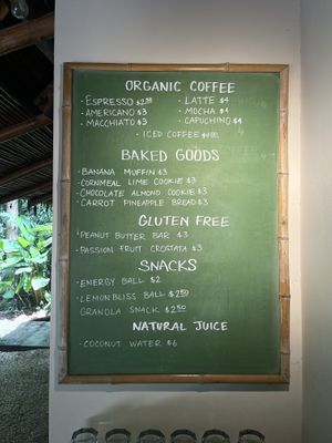 Coffee and some vegan baked good options at Juice Bar at the Harmony Hotel in Nosara