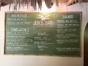 The main menu with most (or all)  items able to be made vegan along with GF. at Juice Bar at the Harmony Hotel in Nosara