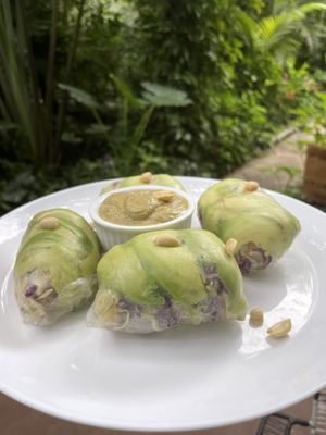 Spring rolls at Juice Bar at the Harmony Hotel in Nosara