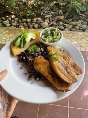 The Tico with guacamole in place of eggs and no cheese = 🤩❤️ at Juice Bar at the Harmony Hotel in Nosara
