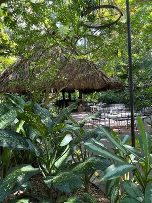 seating area at Juice Bar at the Harmony Hotel in Nosara