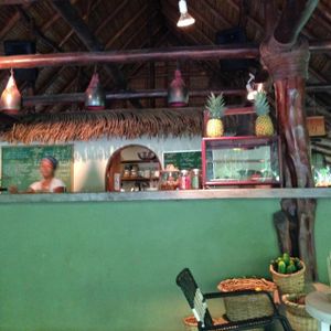 Cafe & Juice Bar at the Harmony Hotel at Juice Bar at the Harmony Hotel in Nosara