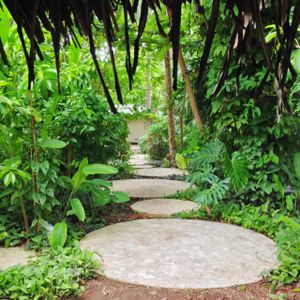 Walkway from the Harmony Hotel through the jungle to the Cafe & Juice Bar + Healing Center (yoga classes, massages, etc.). at Juice Bar at the Harmony Hotel in Nosara