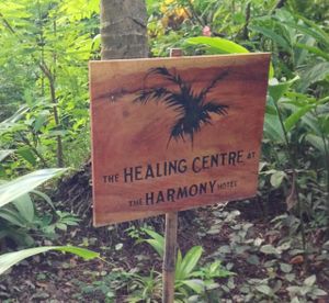 Healing Center at the Harmony Hotel.  Yoga classes, massage, cafe, juice bar.  Hotel guests receive 2 yoga class vouchers ranging from easy stretching to advanced level.  Free surf board use also provided for hotel guests. at Juice Bar at the Harmony Hotel in Nosara