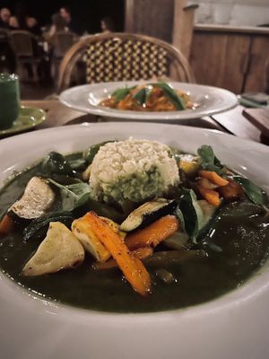 Vegan green curry. The most magnificent color! Deep emerald green & not the usual heavy coconut creamy-ness. This is light & so flavorful. The center is cauliflower rice. Epic! at Harmony Hotel Restaurant in Nosara