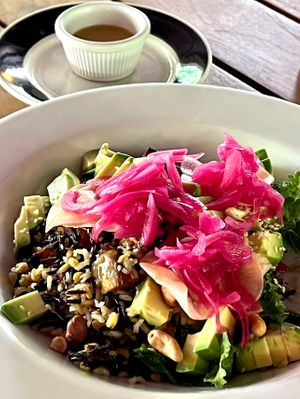 Grain bowl with sweet potato and avocado with sesame dressing at Harmony Hotel Restaurant in Nosara