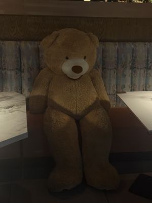 🧸 Dine with giant teddies  at The Charlotte American Bistro in Dallas