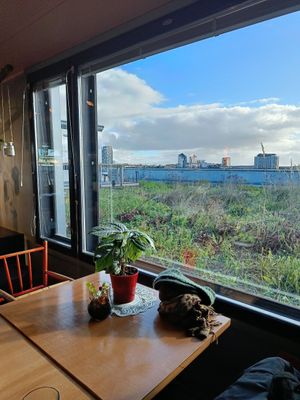 View to the green rooftop at Kattopuutarha in Pirkanmaa