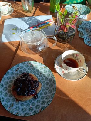 Sour dough cinnamon roll, topped with blackcurrant jam, and Kenyan fruity pour-over coffee at Kattopuutarha in Pirkanmaa