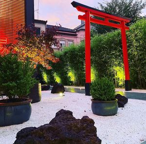 Jardim at Taiyo Sushi Club in Vila Real