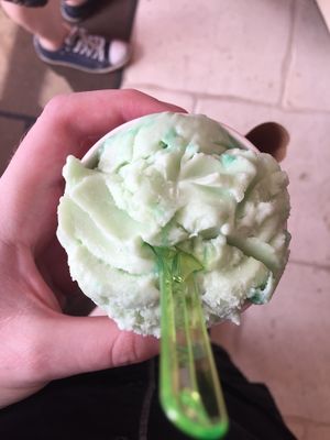 Mint Soya Ice-cream  at Vanilli's in Harrogate