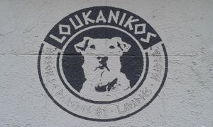 Loukanikos at Loukanikos in Madrid