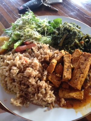 Our meal -- spicy tofu, kale, coconut fried rice, and salad at Ital in Paradise in St Croix