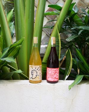   at CELA Restaurant in Thanh Pho Ho Chi Minh