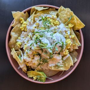 Mr. 350 at Adelleda in Portland