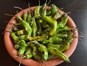 Shishito peppers at Adelleda in Portland