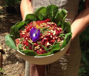 Sunspace Seasonal Salad at Sunspace Cafe in Sunshine Coast
