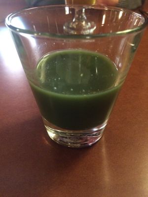 Ancient Healer potion at Candle 79 in New York City