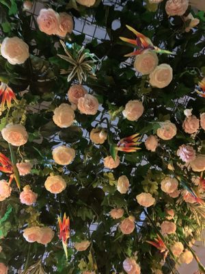 Pretty decor - look up ! at The Skinny Kitchen - West End in Ibiza