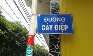 18 at Kay Vegan Bistro in Ho Chi Minh City