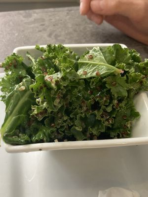 Kale salad side at The Vegetable Hunter Cafe and Boutique Brewery in Harrisburg