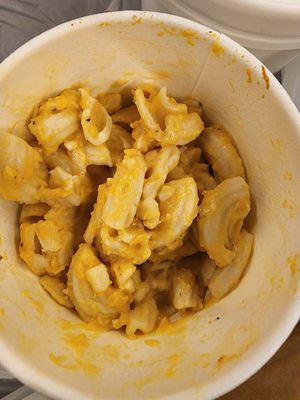  at The Vegetable Hunter Cafe and Boutique Brewery in Harrisburg