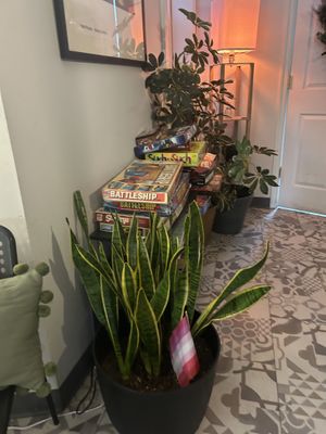   at The Vegetable Hunter Cafe and Boutique Brewery in Harrisburg