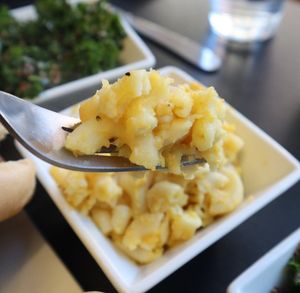  at The Vegetable Hunter Cafe and Boutique Brewery in Harrisburg