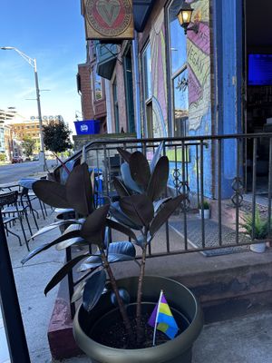   at The Vegetable Hunter Cafe and Boutique Brewery in Harrisburg