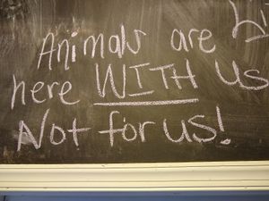 writing on the wall at The Vegetable Hunter Cafe and Boutique Brewery in Harrisburg