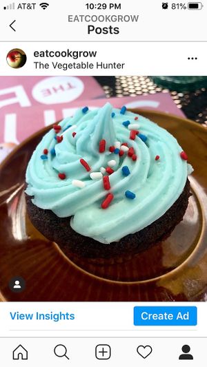 Cupcake  at The Vegetable Hunter Cafe and Boutique Brewery in Harrisburg