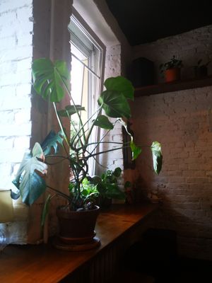 Nice interior tuch at Moksha in Kaunas