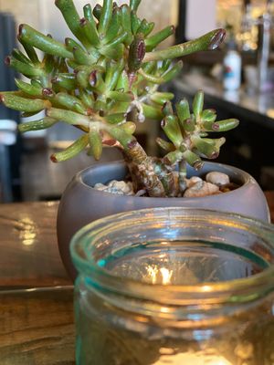  at Sanctuary Bistro in Charlotte