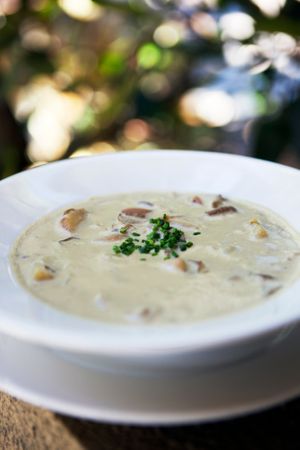 Oyster Mushroom Chowder at Sanctuary Bistro in Charlotte