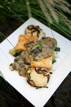 Tofu Scallopini at Sanctuary Bistro in Charlotte