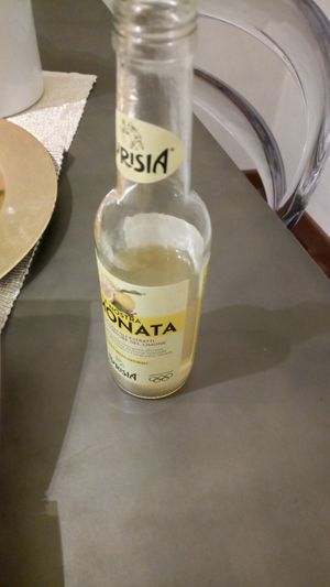Lemonata at Van Ver Burger Garibaldi in Turin
